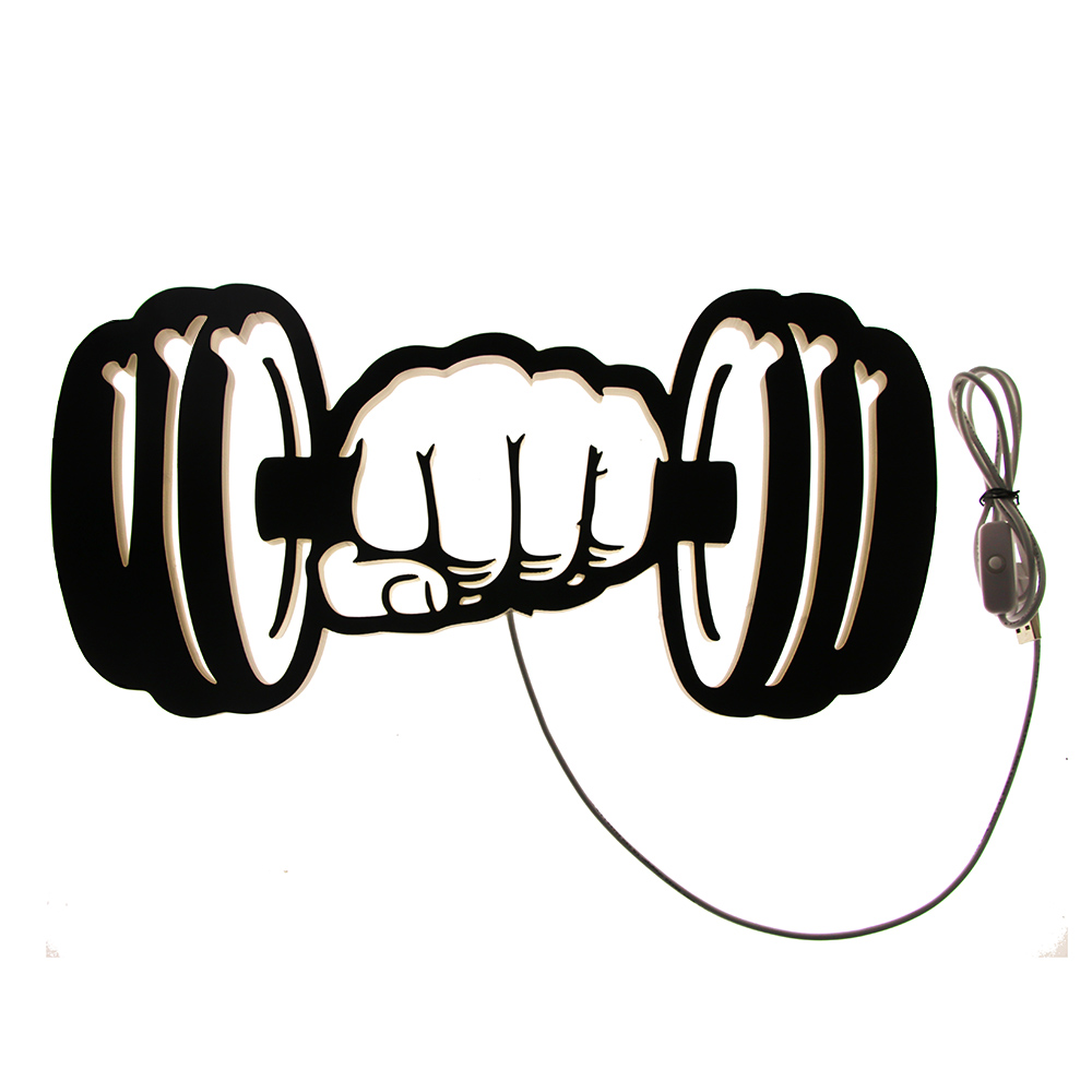 الدمبل قوة وحدة إضاءة LED جدار - مراجعة Home Gym Dumbbell Workout وسعره