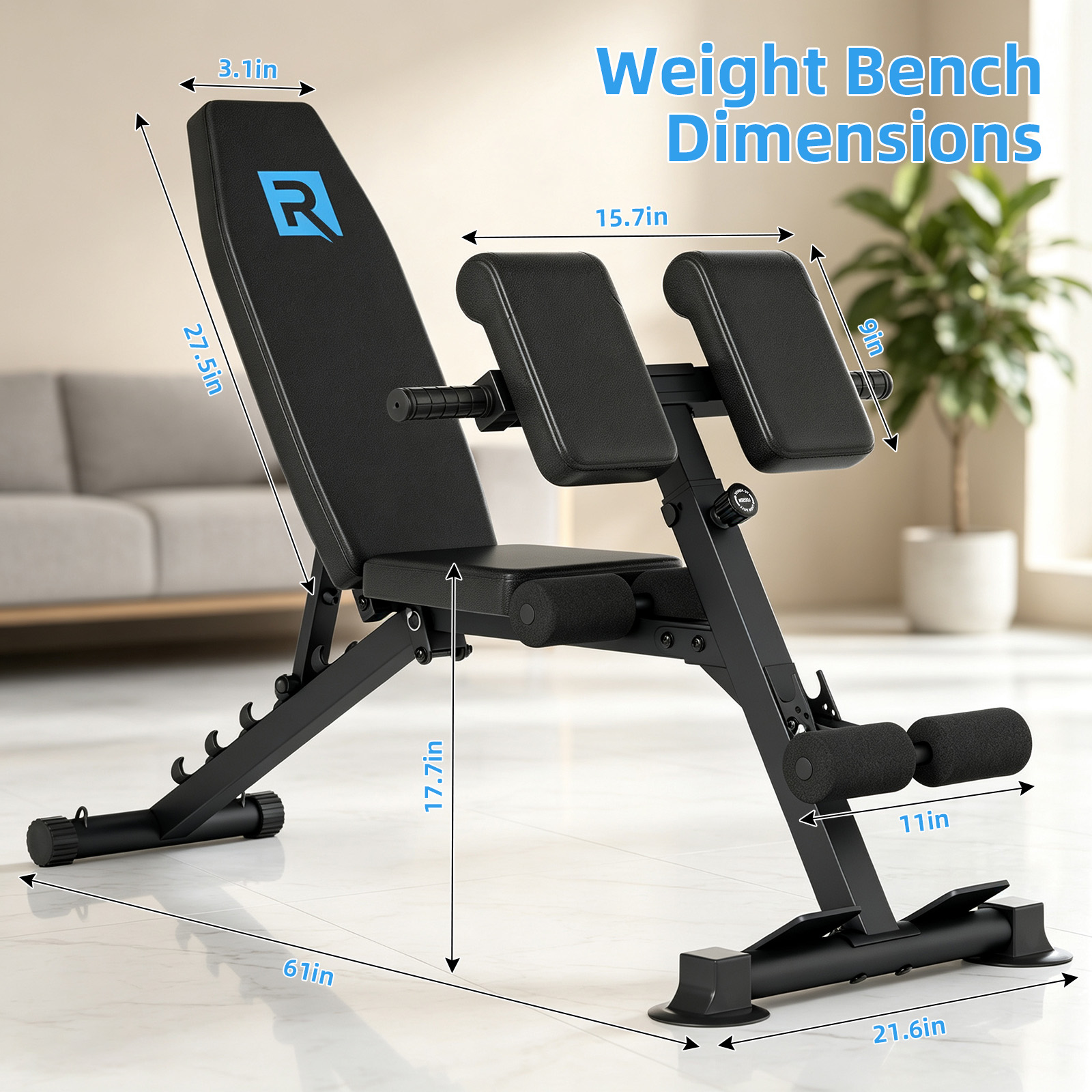 مقعد تمارين قابل للطي بالكامل  - مراجعة Home Gym Dumbbell Workout وسعره